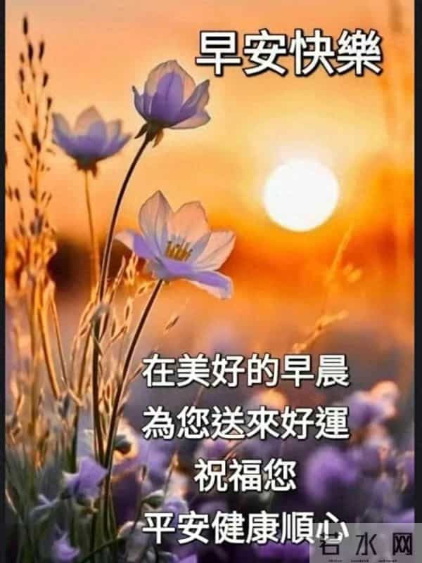 早安，愿今日皆安，万事顺意