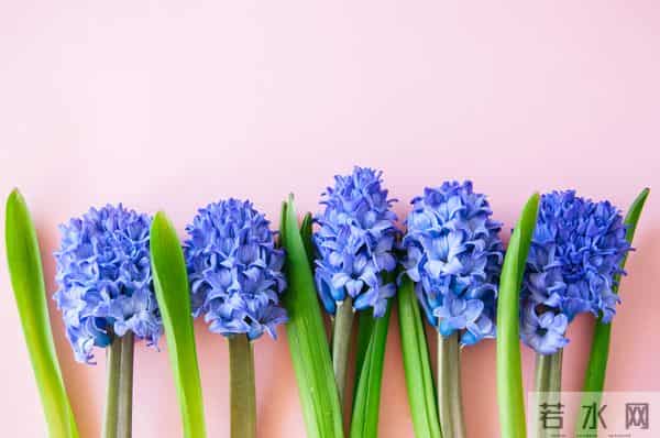 男人嫌弃你了，是有征兆的