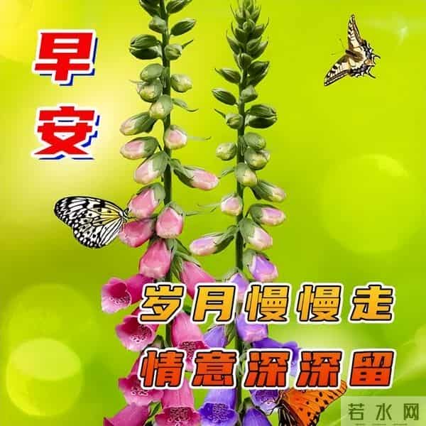 11月30日早安高质量文案，温暖早上好问候祝福，愿健康常伴