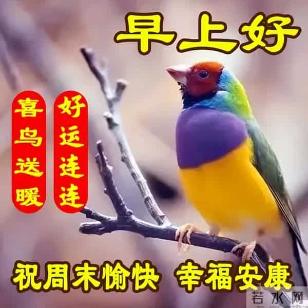 清晨寄语每日一句祝福，精辟早上好问候语，阳光灿烂，笑口常开