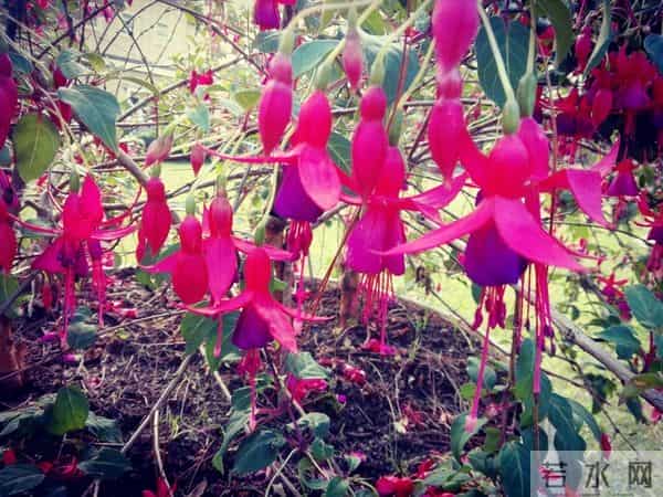 聪明的女人，发现男人不爱自己时，会这样处理