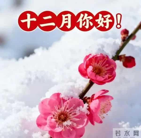 「2025.12.1」今日18张早安祝福图片问候，温馨早上好祝福语