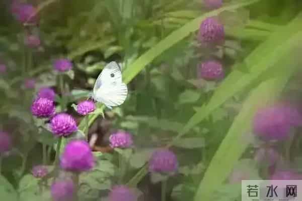 两性关系：多数女人愿意和一个男人长期保持联系，原因往往就5点