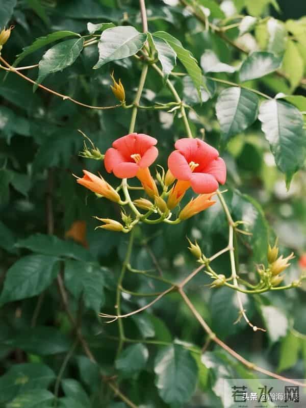 16句总有一句，会让你在某个瞬间，突然看清生活的真相，或者道理