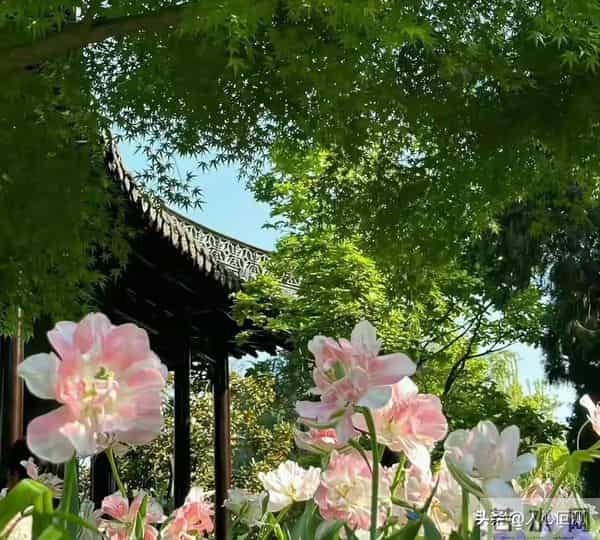 别为“消耗品朋友”折腾自己：学会在关系里留底气，人生通关秘籍