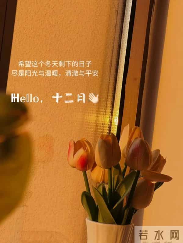 12月1日早上好 早上好清新淡雅图片 早安问候图片最新今天 12月你好