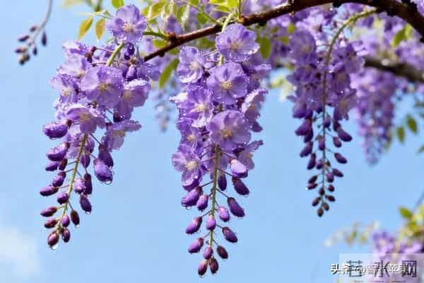 弘一法师：女人最大的悲哀，是终其一生都未曾真正爱过自己。