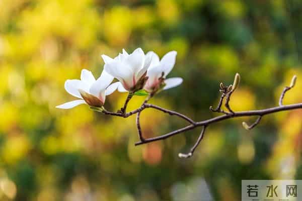 越厉害的人越低调？这4个细节，藏着你望尘莫及的认知高度