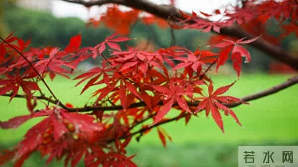 人到晚年，最高级的活法是 “简单”