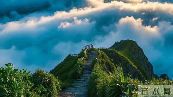 重度抑郁快速上岸，核心经验大公开