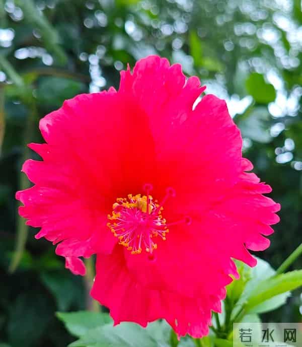 我和你约法三章，相爱不分手