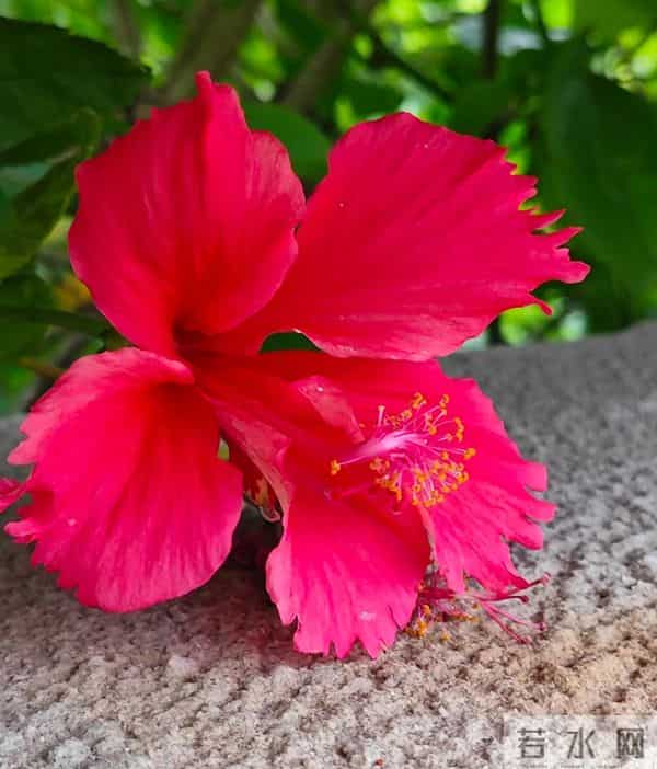 我和你约法三章，相爱不分手