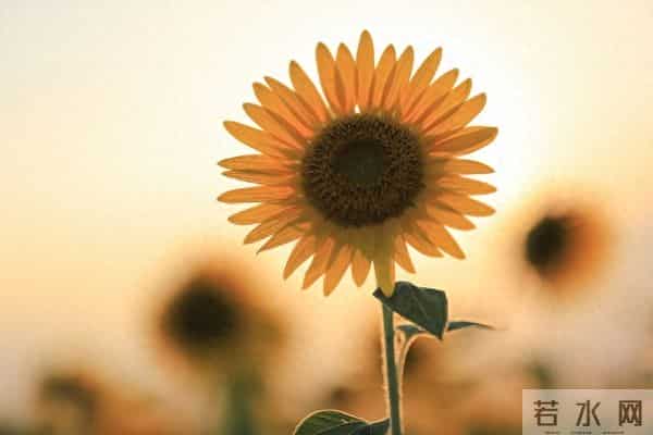 有这些迹象，说明你做事真是太强了！