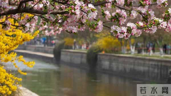 男人有7200退休金，跟搭伙女人AA养老，女人去打工男人却问谁做饭