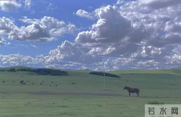 没素质的人，一瞧便知，没素质的人，都有这几种突出的现象
