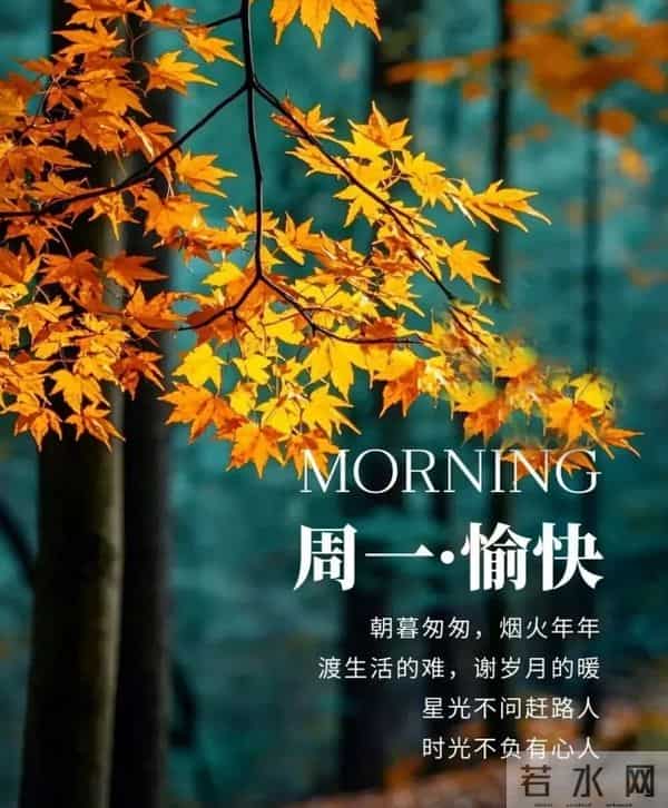 2025年12月1日周一早上好祝福语图片，最新温馨淡雅早安精美图片