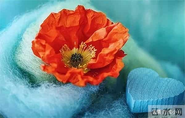 女子坚持嫁凤凰男，跟父母断绝关系，婚后父母用一招直接让她破防