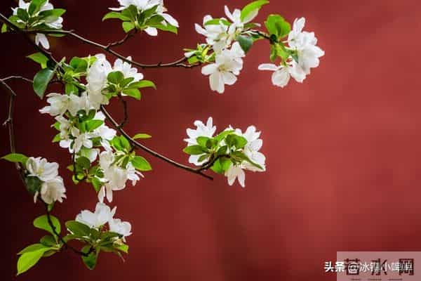 越是想征服一个男人，越不要主动，而是学会“晾”着他