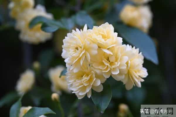 惊人揭秘：男人最爱女人的三大特质，性竟排不上号！