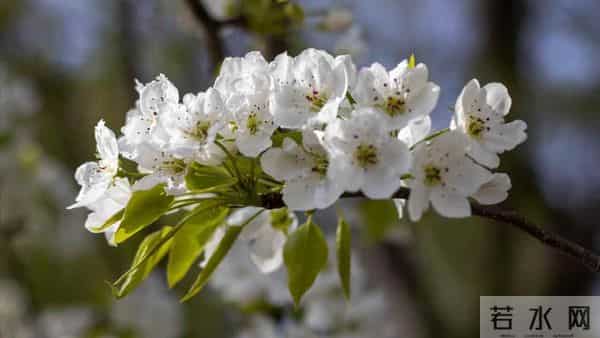婆婆生日姑姐说座位不够，男人让儿媳别去，晚上才知儿媳离家走了