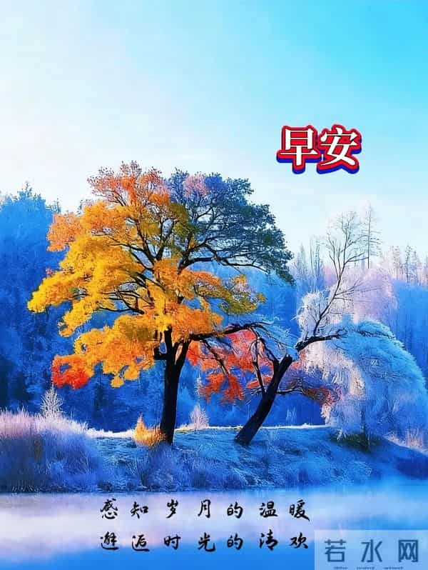 早上好早安祝福美图-浅冬生寒意，微光暖人心