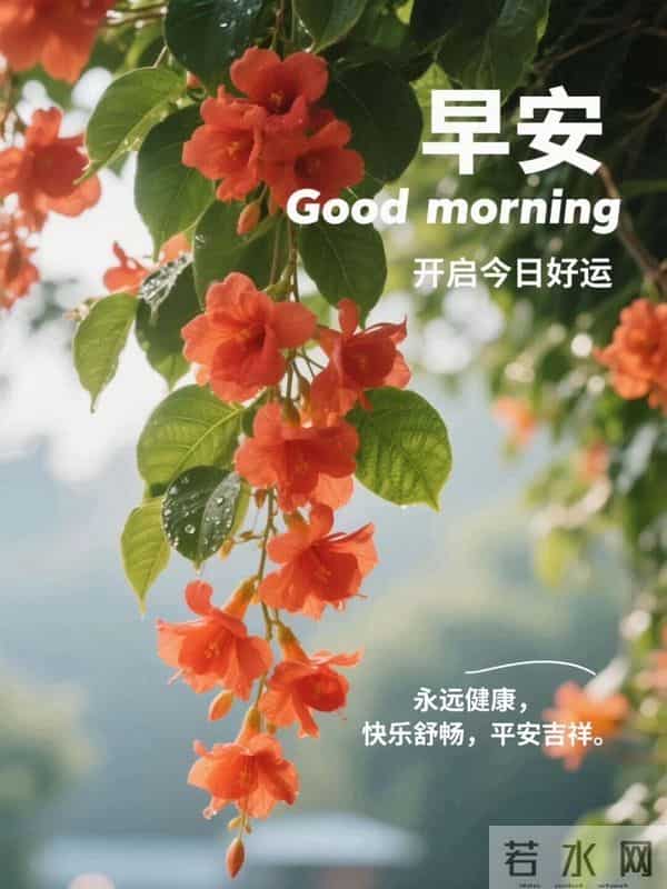 22句原创暖心祝福，冬日虽冷，祝福暖心，愿你安康常伴、事事顺意