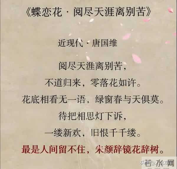 31页日光书—最是人间留不住，朱颜辞镜花辞树—再见11月你好12月