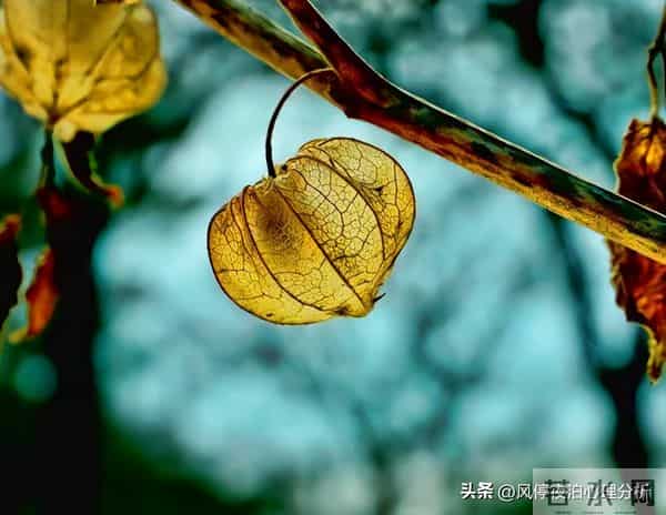 经历过背叛的婚姻：夫妻之间，只是“假性和解”