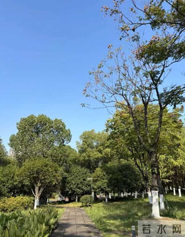 我是一个58岁女人，说句大实话：跟男人过日子，不要嫌弃和抱怨他