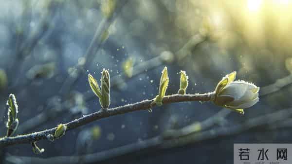 越厉害的人越低调？这4个细节，藏着你望尘莫及的认知高度