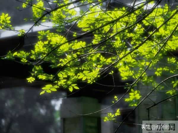 从明天起，万事皆成，对自己说：好运开启，万事顺意