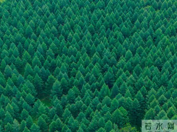 发现一个奇怪的现象：无论和谁打交道，适当的强势，你才会被尊重