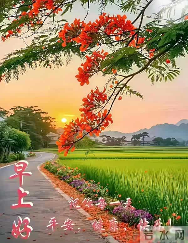 早上好早安祝福美图-浅冬生寒意，微光暖人心