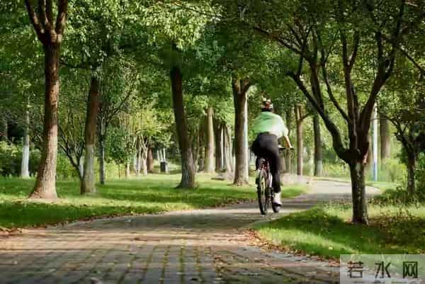 丧偶后娶了小姨子，洞房夜才知亡妻藏了半辈子的秘密