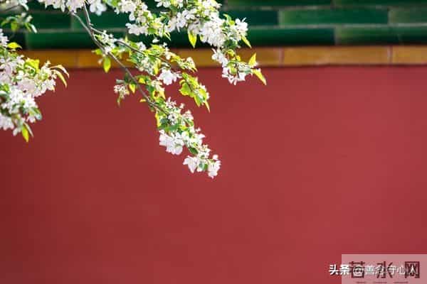 人老了才发现，90%以上的女婿其实都在看女儿的态度，很正常