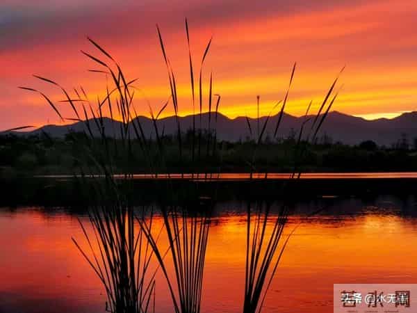 要知道，人过了80岁，活着也没有几个人在意你，看了此文你就懂