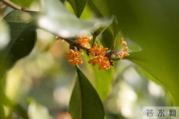 一个女人，越喜欢做这3件事，越说明她见过世面、不简单