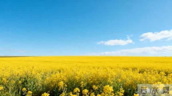 两性问题：异性朋友之间，一旦有三种联系，就是越界了，警惕！