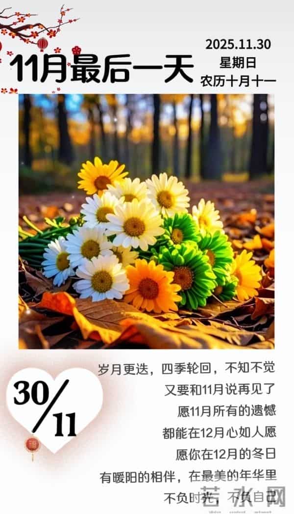 2025年十一月再见十二月你好 迎接十二月祝福语 十二月你好精美图片