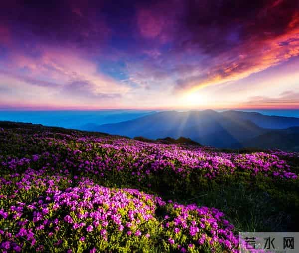 摩羯座2025年12月突破瓶颈借力打力