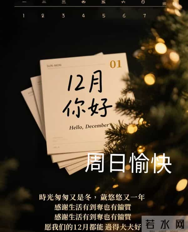 十一月再见 十二月你好愿你所到之处遍地阳光 愿你梦的远方温暖为向