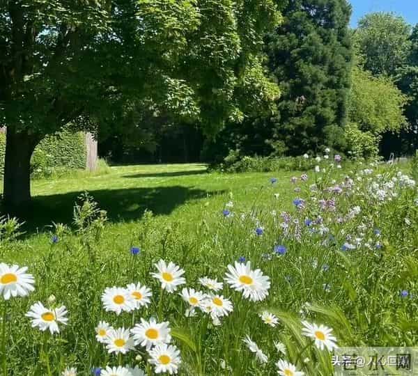 别为“消耗品朋友”折腾自己：学会在关系里留底气，人生通关秘籍