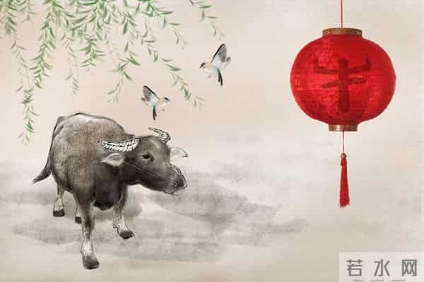 属牛人，泪洒十二月，一个曾经为你“赴汤蹈火”之人将悄然离开