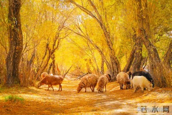 从今天开始，你将时来运转！一顺百顺！从此烦恼清零！