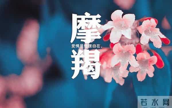 魔蝎座今日运势11.30