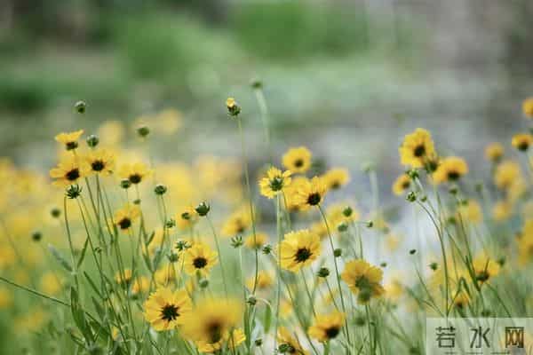 有这些表现，说明你大脑反应贼快！
