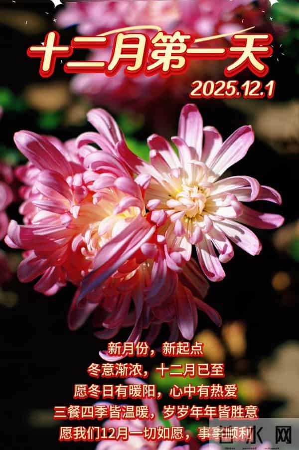 2025年12月1日周一早上好 早上好温馨问候语 早安祝福精美图片