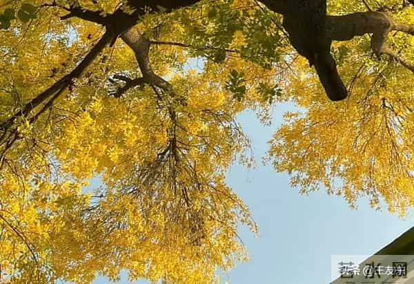 人到中年，最大的觉醒就是，不期待，不依赖，不指望，不多想