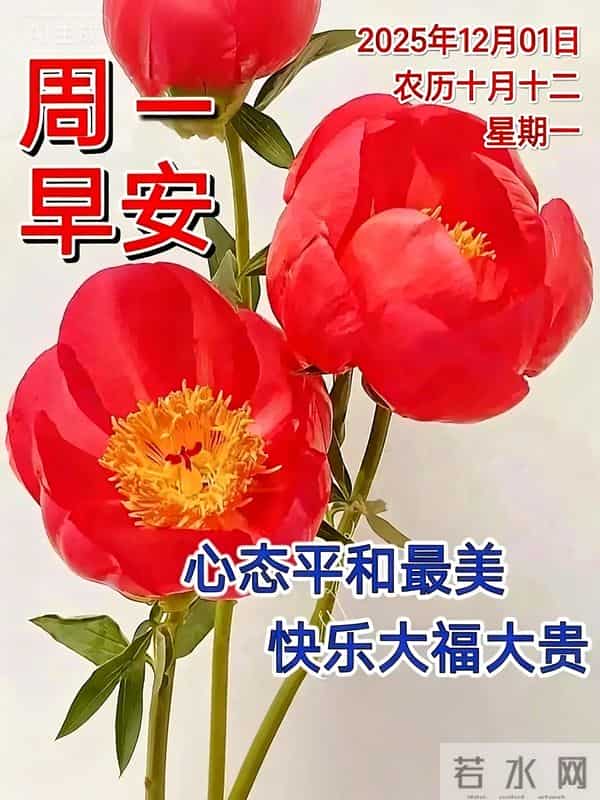 「12月1日」15张冬日早安图片：冬日有梦，幸福安宁