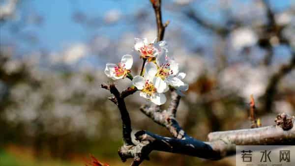 婆婆生日姑姐说座位不够，男人让儿媳别去，晚上才知儿媳离家走了